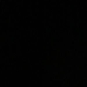 Meet your Posher, Ellie